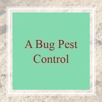 10 Best Pest Control Services In San Antonio Tx Exterminators 12103 jones maltsberger rd, san antonio, tx, 78247. 10 best pest control services in san
