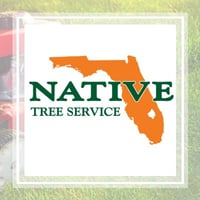 27 Best Tree Care Services In Miami Fl Tree Trimming