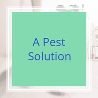 Reidsville Nc Pest Control Exterminators Best 2021