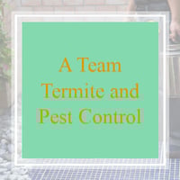 7 Best Pest Control Companies In Yukon Ok