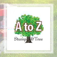 11 Best Tree Care Services In Woodinville Wa Tree Removal