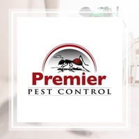 11 Best Pest Control Companies In Detroit Mi Exterminators