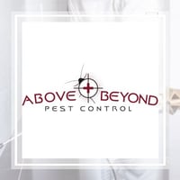 10 Best Pest Control Services In Eustis Fl Exterminators