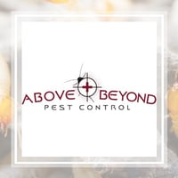 10 Best Pest Control Services In Leesburg Fl Exterminators