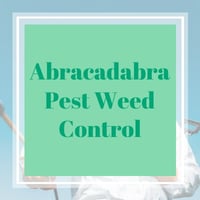 10 Best Pest Control Services In Wylie Tx Exterminators