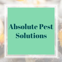 10 Best Pest Control Services In Glendale Az Exterminators