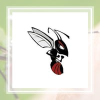 10 Best Pest Control Services in Stone Mountain, GA ...