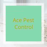 10 Best Pest Control Services In Denver Co Exterminators