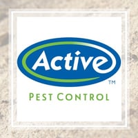 11 Best Pest Control Companies In Rex Ga Exterminators