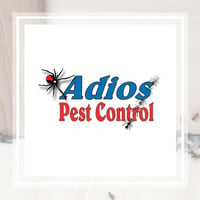 11 Best Pest Control Companies In Chula Vista Ca Exterminators