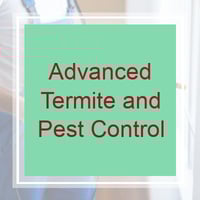 11 Best Pest Control Companies In Norristown Pa Exterminators