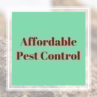 10 Best Pest Control Services In Littleton Co Exterminators