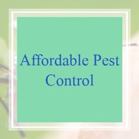 11 Best Pest Control Companies In Loveland Oh Exterminators