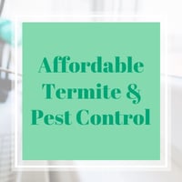 11 Best Pest Control Companies In Bloomington In Exterminators