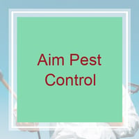10 Best Pest Control Services In Wesley Chapel Fl Exterminators