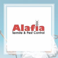 10 Best Pest Control Services In Largo Fl Exterminators
