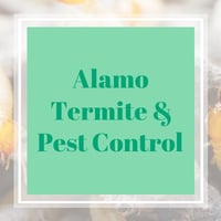 10 Best Pest Control Services In Carrollton Tx Exterminators