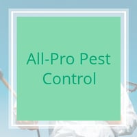 11 Best Pest Control Companies In Seattle Wa Exterminators