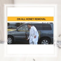 11 Best Pest Control Companies In North Hollywood Ca Exterminators
