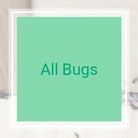11 Best Pest Control Companies In Franklin Square Ny Exterminators