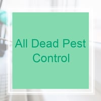 10 Best Pest Control Services In Fort Worth Tx Exterminators