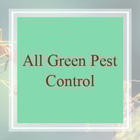 11 Best Pest Control Companies In Lake Havasu City Az Exterminators