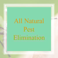 11 Best Pest Control Companies In Greensboro Nc Exterminators