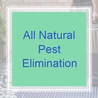 11 Best Pest Control Companies In Medford Or Exterminators