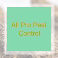 11 Best Pest Control Companies In Sevierville Tn Exterminators