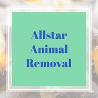 5 Best Pest Control Services in Bunnell, FL 2023 | Exterminators 5 Best Pest Control Services in Bunnell, FL 2023 | Exterminators