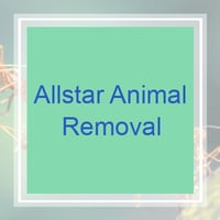 5 Best Pest Control Services in Clearwater Beach, FL 2023 | Exterminators 5 Best Pest Control Services in Clearwater Beach, FL 2023 | Exterminators