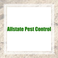 12 Best Pest Control Services In Georgetown Tx 2021 Exterminators