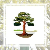 11 Best Tree Care Services In Charlotte Nc 2021 Trimming Removal More