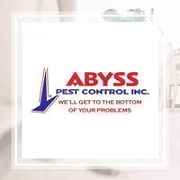 11 Best Pest Control Companies In Myrtle Beach Sc Exterminators