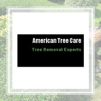 11 Best Tree Care Services In Snohomish Wa Tree Removal