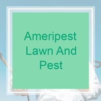 11 Best Pest Control Companies In Palm Bay Fl Exterminators