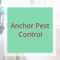 11 Best Pest Control Companies In Pensacola Fl Exterminators