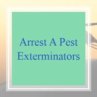10 Best Pest Control Services In Hamilton Oh Exterminators