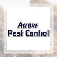 10 Best Pest Control Services In Desoto Tx Exterminators