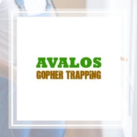 11 Best Pest Control Companies In Palo Alto Ca Exterminators