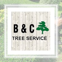 superior tree service san jose