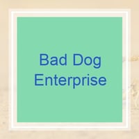11 Best Pest Control Companies in Deerfield Beach, FL ...