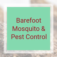 10 Best Pest Control Services in Deer Park, TX | Exterminators