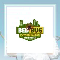 11 Best Pest Control Companies In Pittsburgh Pa Exterminators