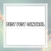 11 Best Pest Control Companies In Little Rock Ar Exterminators