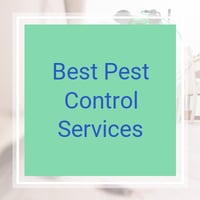 Somerville Ma Pest Control Exterminators Best 2021