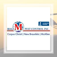 10 Best Pest Control Services In San Antonio Tx Exterminators Keep all vegetation / trees trimmed back off your property to prevent these pests and the. 10 best pest control services in san