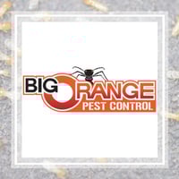 11 Best Pest Control Companies In Knoxville Tn Exterminators