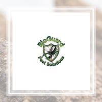 11 Best Pest Control Companies In Bryan Tx Exterminators