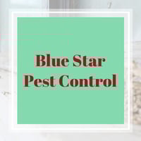 11 Best Pest Control Companies In Slidell La Exterminators